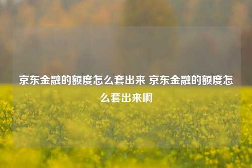 京东金融的额度怎么套出来 京东金融的额度怎么套出来啊