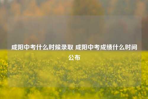 咸阳中考什么时候录取 咸阳中考成绩什么时间公布