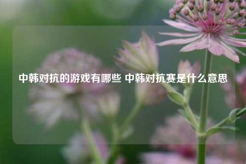 中韩对抗的游戏有哪些 中韩对抗赛是什么意思