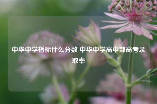 中华中学指标什么分数 中华中学高中部高考录取率