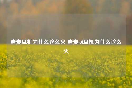 唐麦耳机为什么这么火 唐麦w0耳机为什么这么火