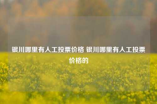 银川哪里有人工投票价格 银川哪里有人工投票价格的