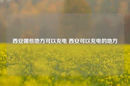 西安哪些地方可以充电 西安可以充电的地方