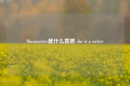 Shesawriter是什么意思 she is a writer