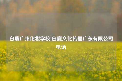 白鹿广州化妆学校 白鹿文化传播广东有限公司电话