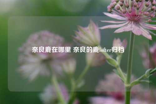 奈良鹿在哪里 奈良的鹿lofter归档