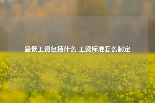 最低工资包括什么 工资标准怎么制定