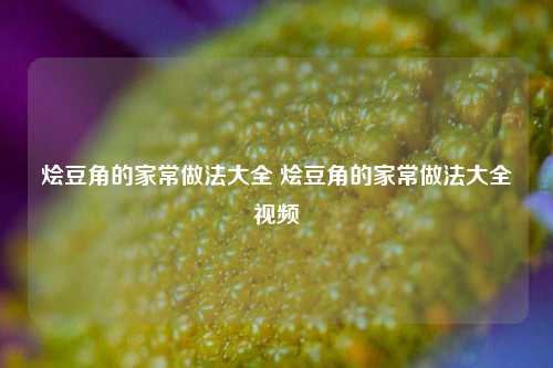 烩豆角的家常做法大全 烩豆角的家常做法大全视频