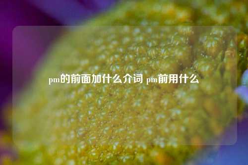 pm的前面加什么介词 pm前用什么